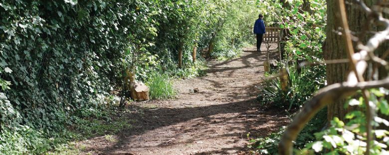 woodland-walk